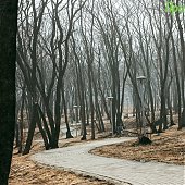 1 апреля на побережье Приморья будет ветрено и прохладно