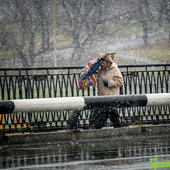 Первые дни ноября принесли Владивостоку 2 декадные нормы осадков