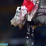 В ближайшие сутки в Приморье пройдут дожди, местами сильные