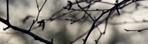 Прошедшая ночь во Владивостоке стала самой холодной за всю осень