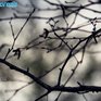 Прошедшая ночь во Владивостоке стала самой холодной за всю осень