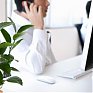 В офисах с комнатными растениями лучше работается