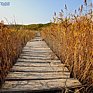 Сегодня днем в Приморье будет тепло