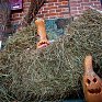 Хэллоуин — канун Дня всех святых