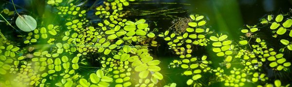 Как изменится погода в Приморье в начале недели, рассказали синоптики