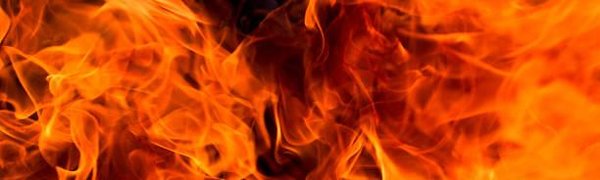 В Приморье объявлено предупреждение о высокой пожароопасности леса