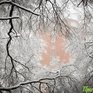 24 декабря Приморье накроет очередной снегопад