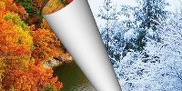 Снег во Владивостоке. Делайте Ваши ставки!