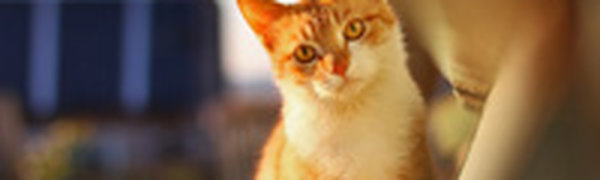 Предстоящим днем в Приморье вновь будет тепло