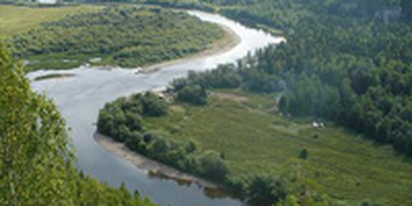 Ядовитые вещества обнаружены в реке на юге Китая