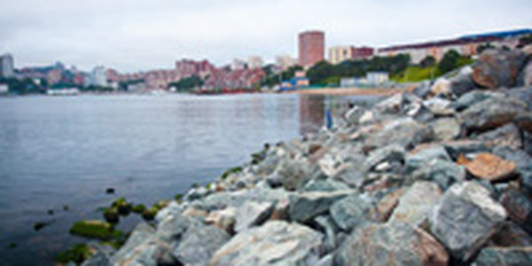 Владивосток снова накрыло туманом