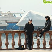 Весна идет, весне — дорогу!