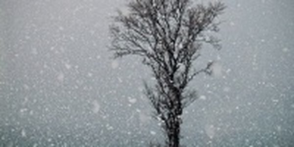 Циклон прошел восточнее Приморья