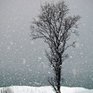Циклон прошел восточнее Приморья