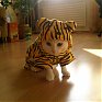 Котоконкурс: Участники