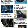 Котоконкурс: Участники