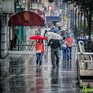 Последние выходные сентября в Приморье будут облачными и дождливыми