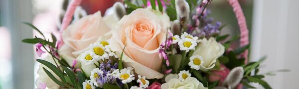 Приятный сюрприз приготовила погода на 8 марта в Приморье