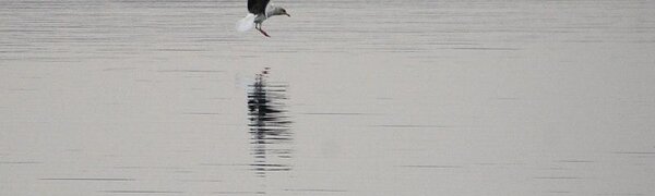 День 28 февраля стал самым теплым в Приморье с начала зимы и года