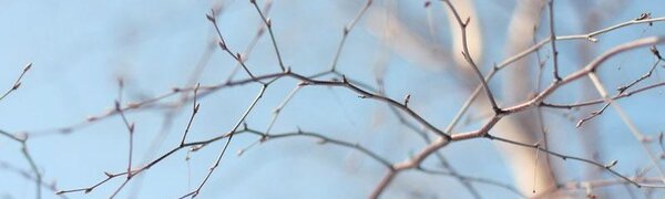 В четверг в Приморье местами потеплеет до +11 °С