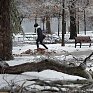 Ледяные дожди в Канаде оставили без электричества 400 тысяч человек