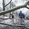 Ледяные дожди в Канаде оставили без электричества 400 тысяч человек