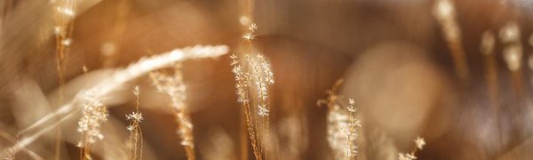 В воскресенье в Приморье потеплеет до +4 °С