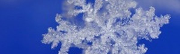 Мир снежинок и инея в макро(ФОТО)