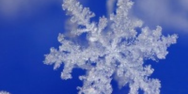 Мир снежинок и инея в макро(ФОТО)