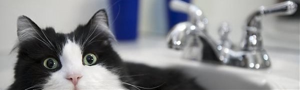 Во Владивостоке стартовал второй этап гидравлических испытаний