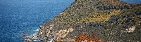 В четверг в Приморье потеплеет