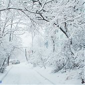 Количество выпавших осадков в Приморье превысило месячную норму