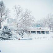 Количество выпавших осадков в Приморье превысило месячную норму