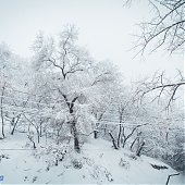 Количество выпавших осадков в Приморье превысило месячную норму