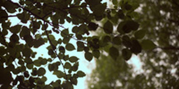 С территории Китая к границам Приморья приближаются атмосферные фронты