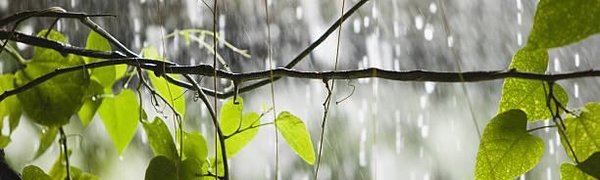 Земля станет планетой вечных дождей