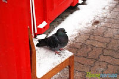 Какую погоду ждать в выходные дни? Какую погоду ждать в выходные дни?