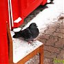 Какую погоду ждать в выходные дни?