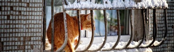 В конце недели в Приморье возможен снег и оттепель до +2 °C