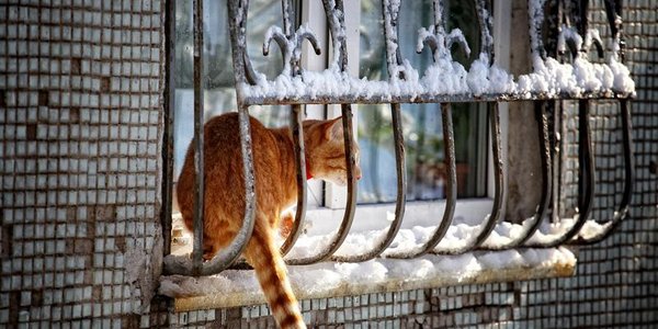 В конце недели в Приморье возможен снег и оттепель до +2 °C