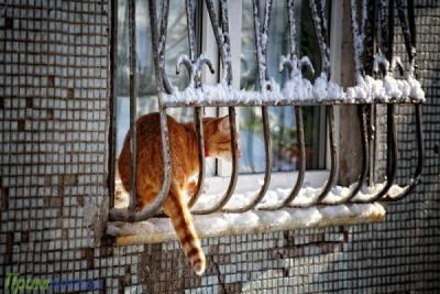 В Приморский край приходит зима