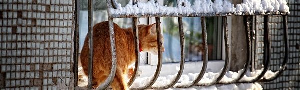 В Приморский край приходит зима