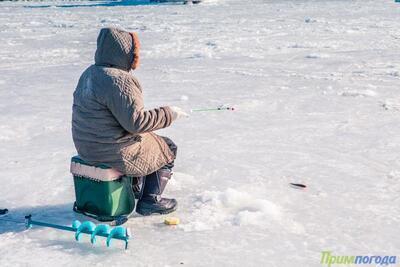 Обзор ледовой обстановки в заливе Петра Великого