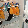 Украинка выпустит на волю 150 перезимовавших в холодильнике летучих мышей
