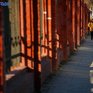 Чем дышал Владивосток с 13 по 18 февраля?