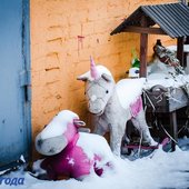 В Приморье сохранится холодная, ветреная погода