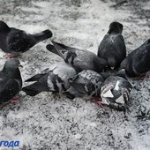 В Приморье сохранится холодная, ветреная погода