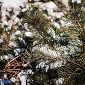 В Приморье сохранится холодная, ветреная погода