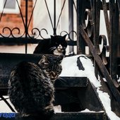 В Приморье сохранится холодная, ветреная погода
