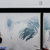 В Приморье сохранится холодная, ветреная погода